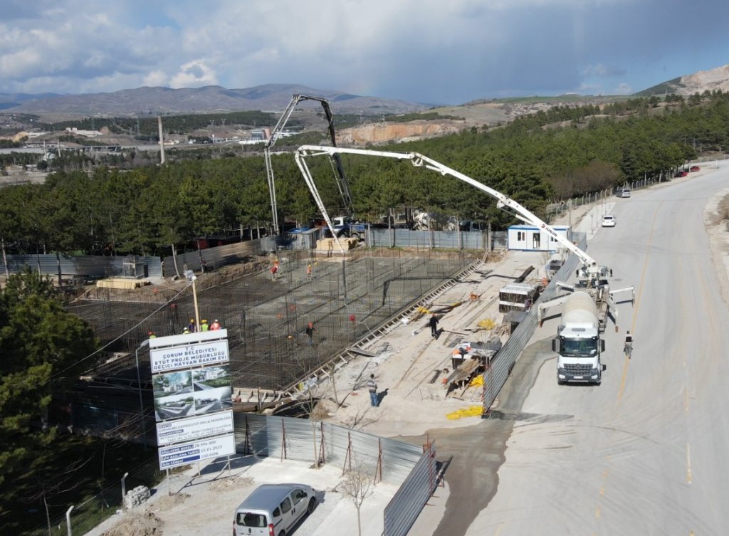ÇORUM HAYVAN HASTANESİ PROJESİ Resim Galerisi