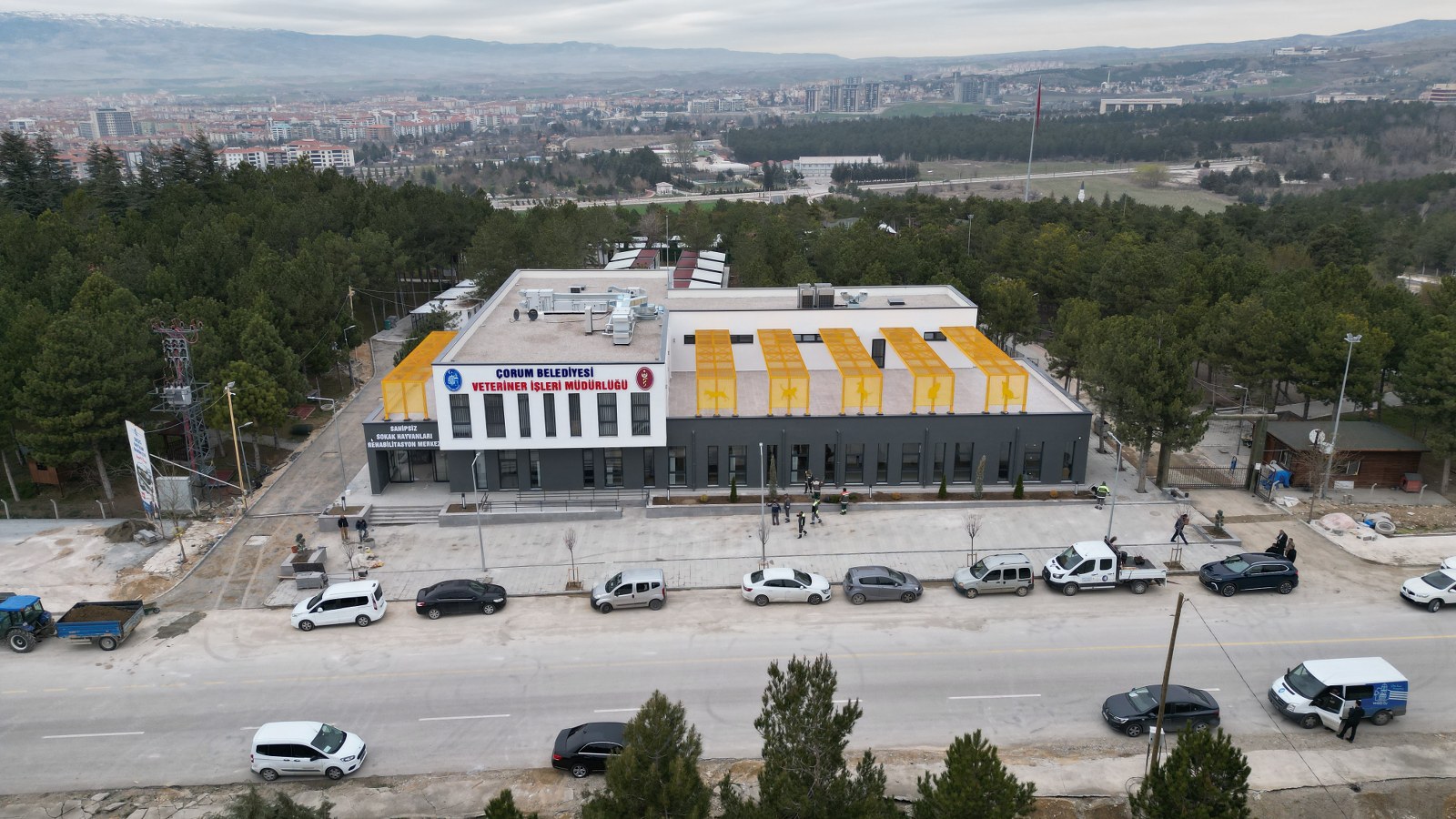 HAYVAN HASTANESİ Resim Galerisi